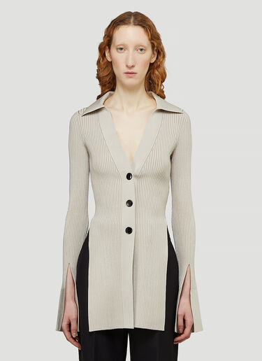 Alexander Wang V-Neck Cardigan Beige awg0243005