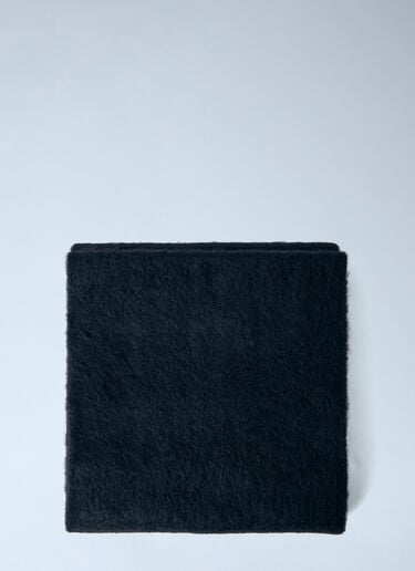 LN-CC® - Lemaire: Soft Fluffy Scarf - Black Lemaire Soft Fluffy Scarf Black lem0166039