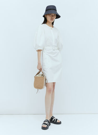 Chloé 小号 Woody 篮式托特包 米色 chl0255060