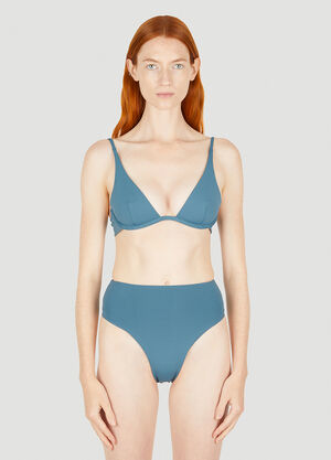 Ziah Plunge Underwire Bikini Top Blue zia0249006