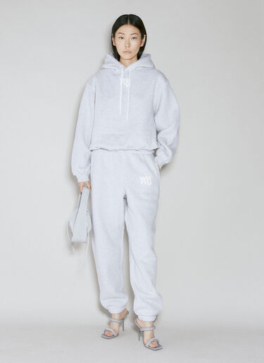 Alexander Wang Puff Logo Hooded Sweatshirt Grey awg0253008