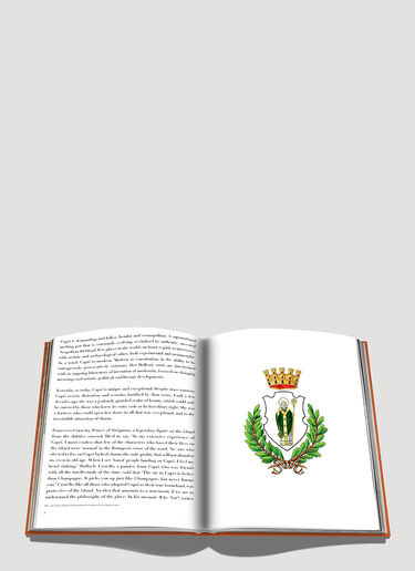 Assouline Capri Dolce Vita Book Orange wps0690003
