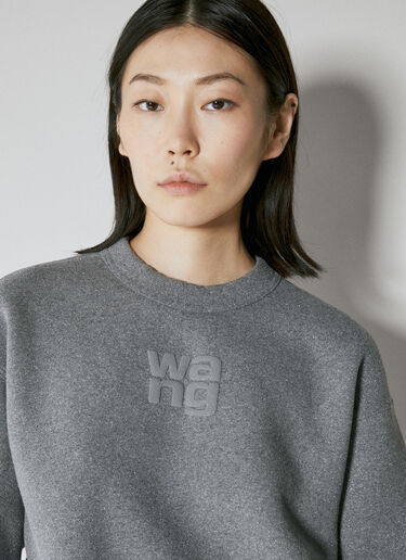 Alexander Wang 글리터 테리 스웨트셔츠 그레이 awg0253018
