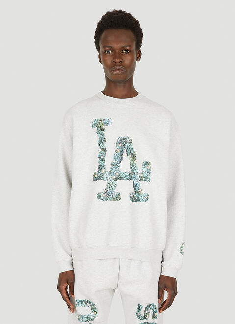 Ecosystem LA Big Dog Sweatshirt Grey ecs0150009