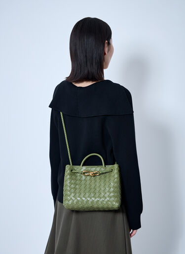 Bottega Veneta Small Andiamo Handbag Green bov0260037