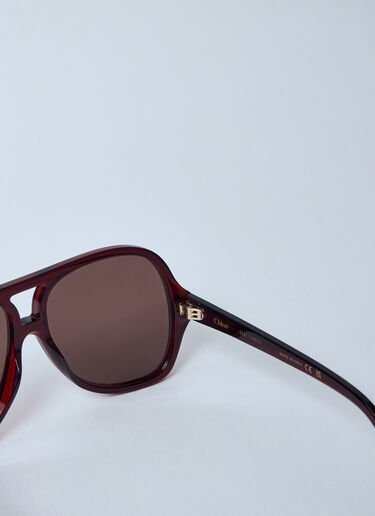 CH0289S Sunglasses Chloé CH0289S Sunglasses Brown cls0259001