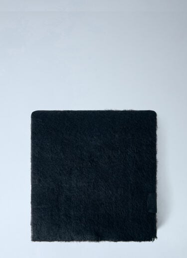 LN-CC® - Lemaire: Soft Fluffy Scarf - Black Lemaire Soft Fluffy Scarf Black lem0166039