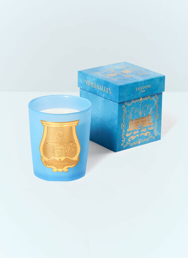 Trudon Versailles Small Candle Blue wps0691644