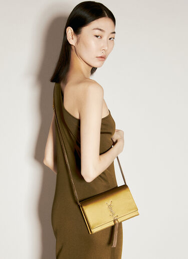 Kate 链带钱包 Saint Laurent Kate 链带钱包 棕色 sla0255101