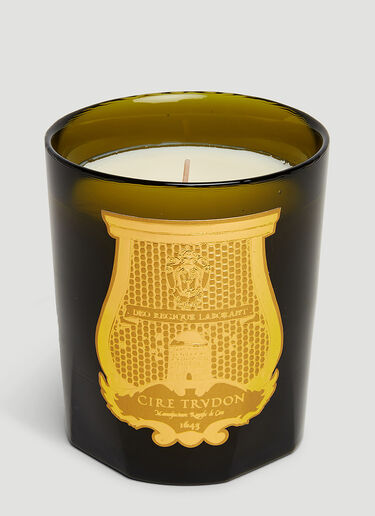 Trudon Cyrnos Candle Green wps0670170