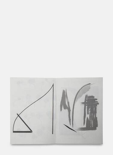 Books Clare Rojas – The Inexhaustible Middle Black ant0505005
