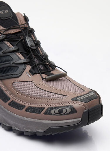Salomon Acs Pro GTX Sneakers Brown sal0359002