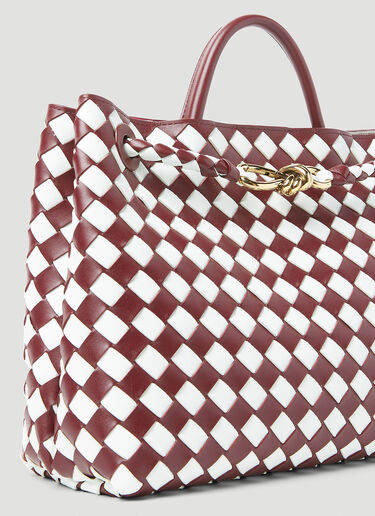 Bottega Veneta Medium Andiamo Handbag Burgundy bov0255081