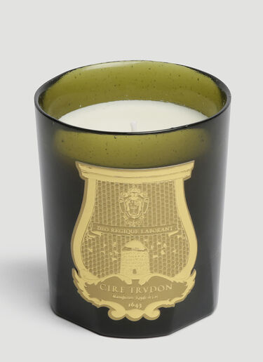 Cire Trudon Odalisque Candle Green wps0644243