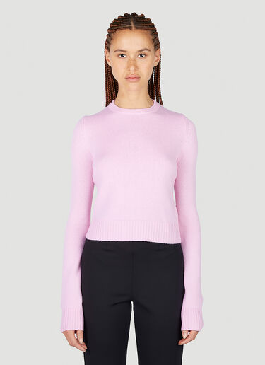 Sportmax Maga Sweater Pink spx0251012