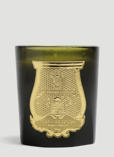 Cire Trudon Solis Rex Candle Green wps0644245