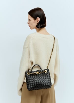 Bottega Veneta Small Chain Andiamo Handbag Black bov0256013
