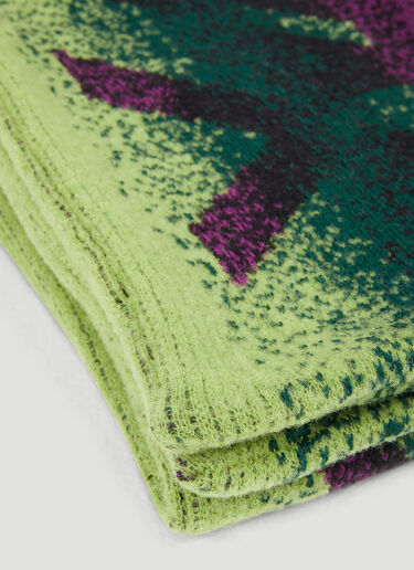 Y/Project Gradient Blanket Scarf Green ypr0349007