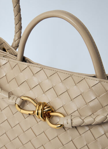 Bottega Veneta Medium Andiamo Handbag Beige bov0260014