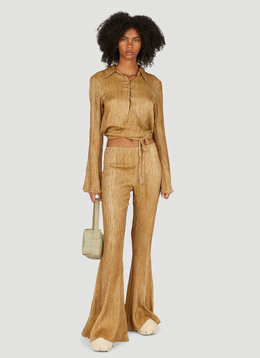 Acne Studios Flared Plisse Pants Gold acn0250070