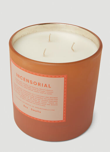 Boy Smells Holiday Collection Incensorial Magnum Candle Orange bys0351014