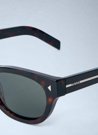 Prada 0PR C09S 太阳镜 棕色 lpr0364001