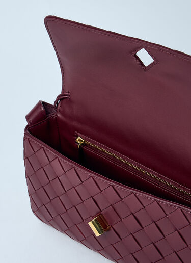 Bottega Veneta Crossbody Andiamo Bag Burgundy bov0259027