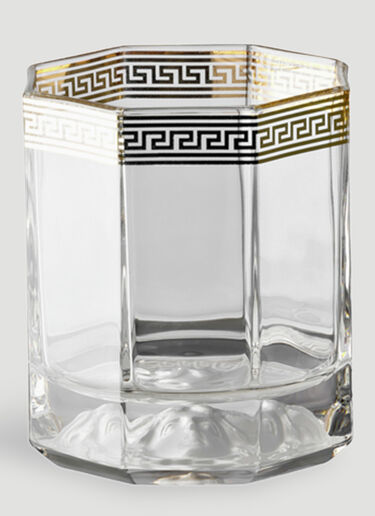 Rosenthal Set of Two Medusa d'Or Whisky Glasses Transparent wps0690133