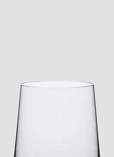Ichendorf Milano Set of Two Stand Up White Wine Glasses Grey wps0670224