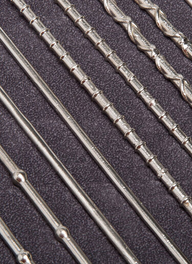 House of Today Flesh Toy Skewers Silver wps0638202