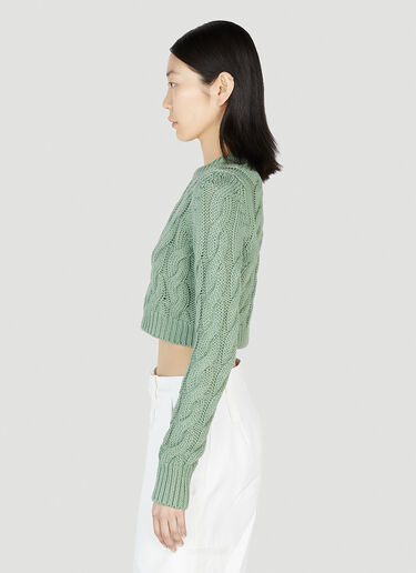 Max Mara 스핑크스 스웨터 Green max0252043