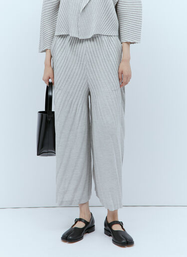 리넨 라이크 플리츠 팬츠 Issey Miyake 리넨 라이크 플리츠 팬츠 그레이 ism0253006