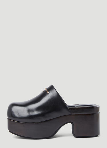 Alexander Wang Zoe Leather Clogs Black awg0253031