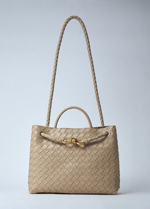 Bottega Veneta Medium Andiamo Handbag Beige bov0260014