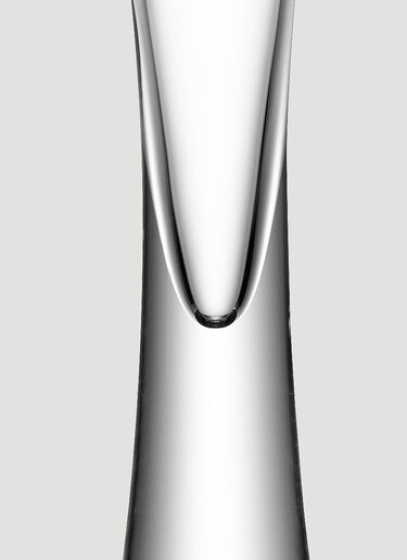 LSA International Set of Two Moya Champagne Flutes Transparent wps0644324