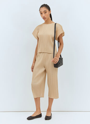 Pleats Please Issey Miyake Wide-Sleeves Top Beige plp0258006
