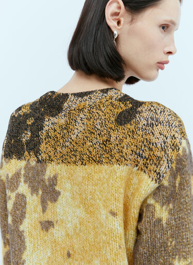 Dries Van Noten Tout 徽标印花针织衫 黄色 dvn0254027