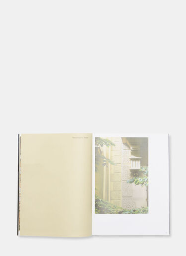 Books Foreign Places by Various Black bok0505004