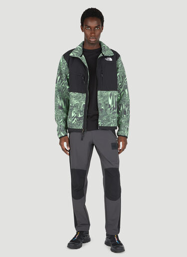 The North Face Denali Jacket with Graphic Print Green tnf0154009