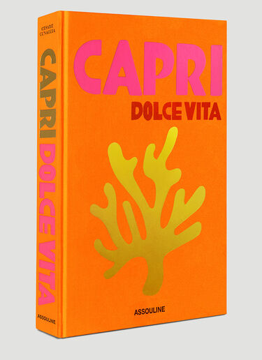 Assouline Capri Dolce Vita Book Orange wps0690003