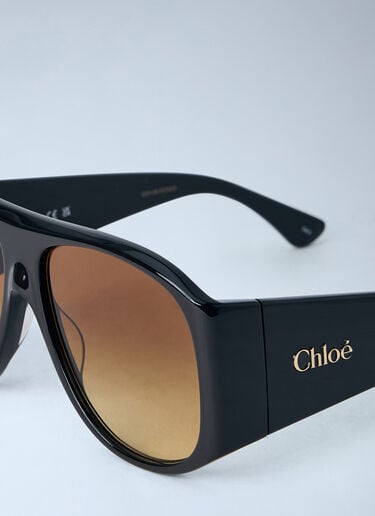 Chloé Izia Sunglasses Brown chl0262053