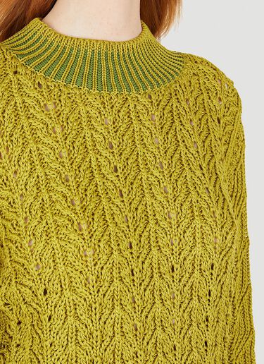 Paula Canovas del Vas Relaxed Knit Jumper Green pcd0248006