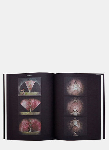 Books Birds Of Paradise Black don0590129