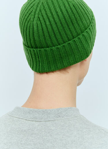 Dime Classic Fold Beanie Hat Green dmt0154025