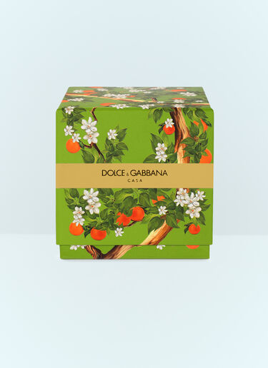 Dolce & Gabbana Casa Sicilian Orange Scented Candle Green wps0691248
