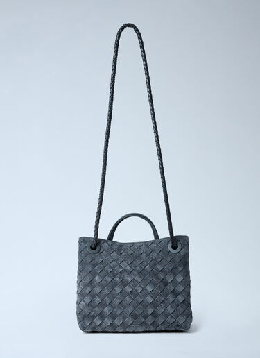 Bottega Veneta Small Andiamo Handbag Grey bov0262045