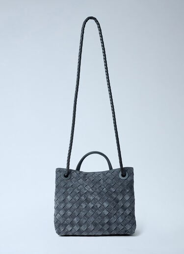 Small Andiamo Handbag Bottega Veneta Small Andiamo Handbag Grey bov0262045