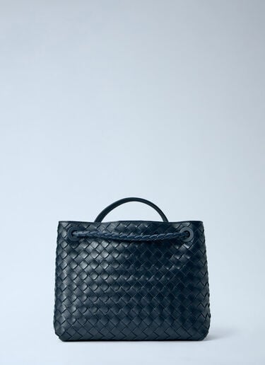 Bottega Veneta 小型Andiamo手袋 蓝色 bov0264011