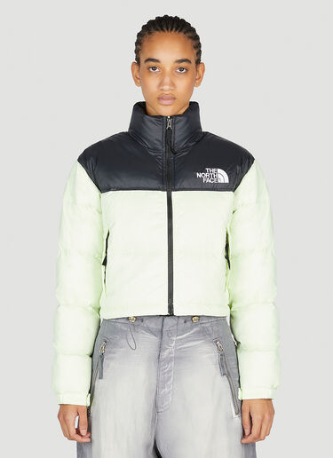 The North Face 눕체 쇼트 재킷 그린 tnf0252034