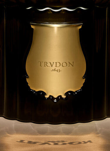Abd el Kader Reed Diffuser Trudon Abd el Kader Reed Diffuser Green wps0670277